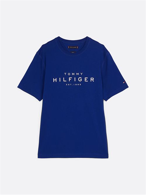 t-shirt man blue TOMMY HILFIGER | MW0MW37448D03